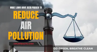 Legislating for Cleaner Air: Laws to Reduce Pollution