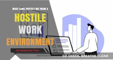 Legal Protections Against Hostile Work Environments: Know Your Rights