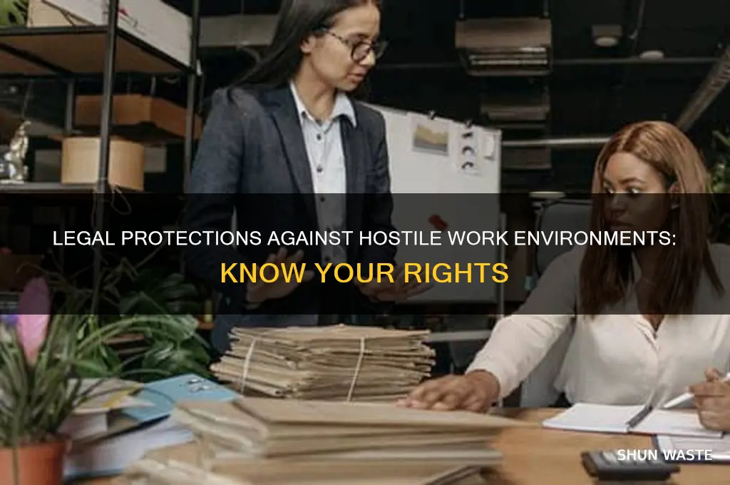 what laws protect me from a hostile work environment