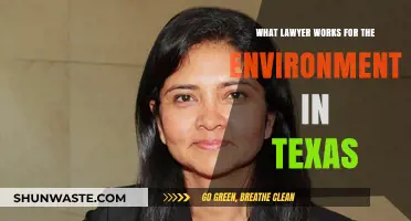 Texas Environmental Lawyers: Protecting Nature and Communities in the Lone Star State