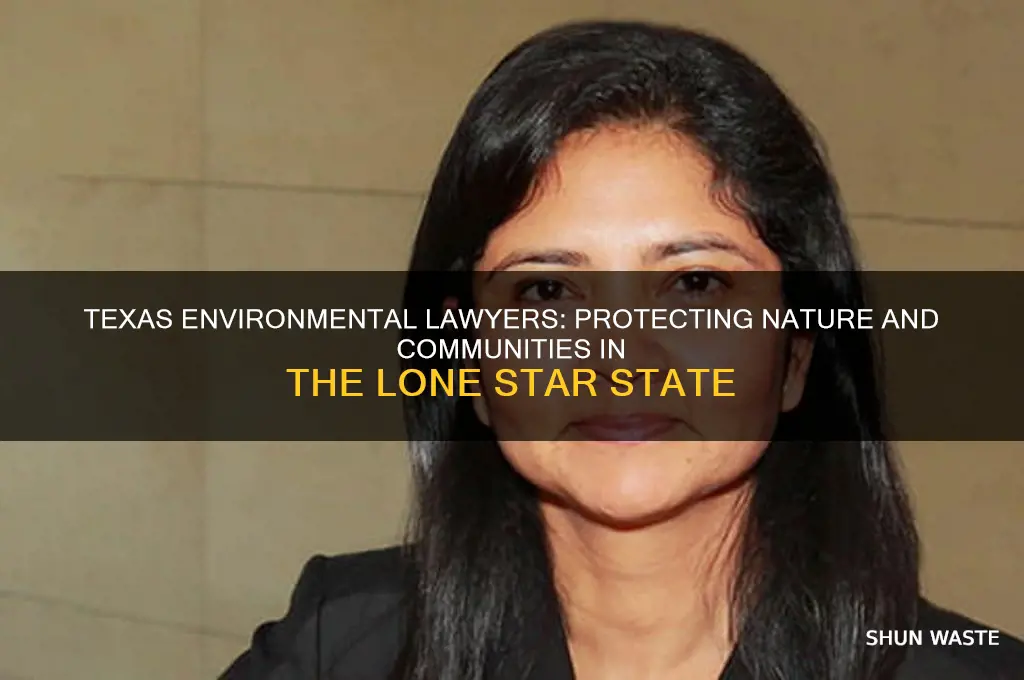 what lawyer works for the environment in texas