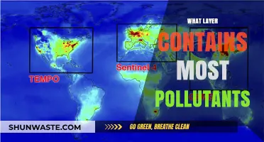 Air Pollution: The Troposphere's Toxic Layer