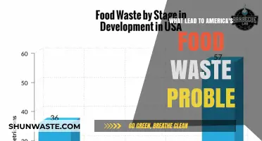 Uncovering the Root Causes of America's Food Waste Crisis