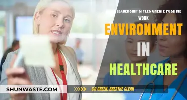 Fostering Healthcare Excellence: Leadership Styles for Positive Work Environments