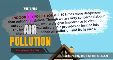 Air Pollution: The Main Culprits and Their Causes