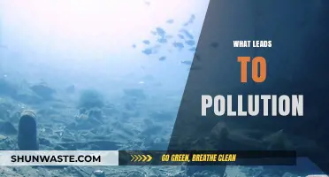 Causes of Pollution: Human Activities and Their Impact