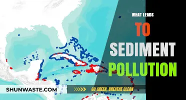 Sediment Pollution: Causes and Effects