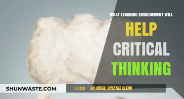 Fostering Critical Thinkers: Crafting the Ideal Learning Environment for Success
