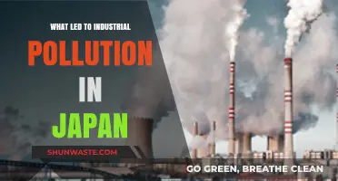 Japan's Industrial Revolution: Pollution's Dark Legacy