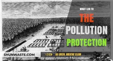 Protecting Our Planet: Pollution's Impact and Solutions