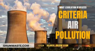 Air Pollution: Legislation and Criteria for Clean Air