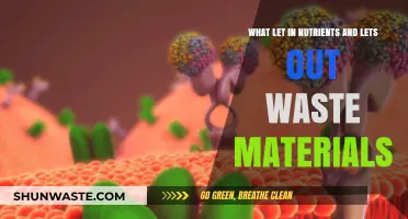 Cell Membrane: Nutrient Gateway and Waste Disposal System Explained