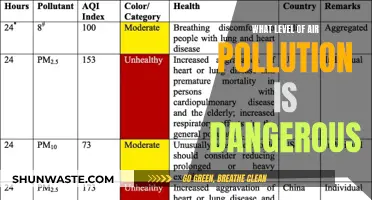 Air Pollution: When Does It Become Deadly?