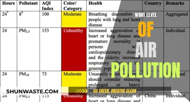 Air Pollution: Understanding the Severity of Contamination