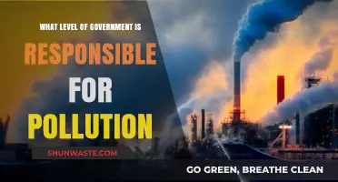 Who's Responsible for Pollution? A Government Hierarchy