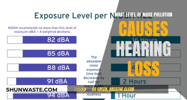 Understanding Noise Pollution: When Decibels Turn into Hearing Loss