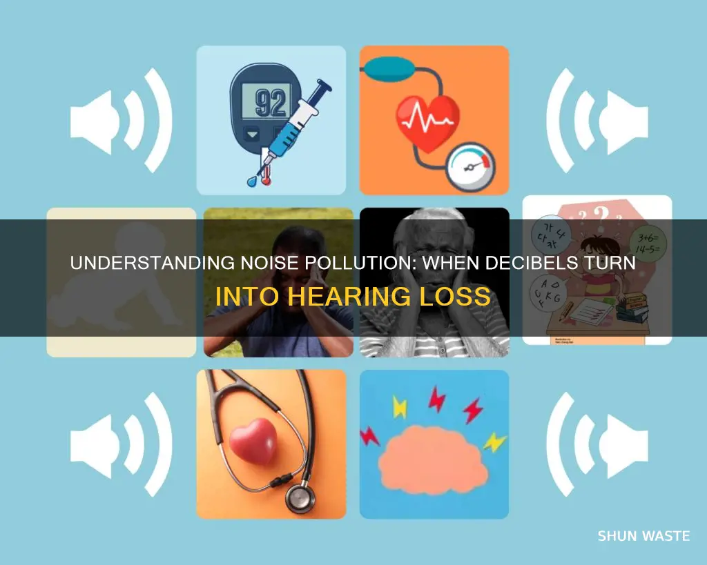 what level of noise pollution causes hearing loss