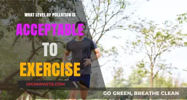 Pollution and Exercise: What's the Safe Limit?