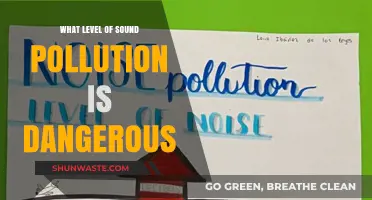 Sound Pollution: When Does It Become Harmful?