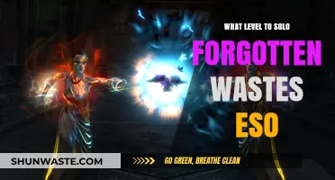 Soloing Forgotten Wastes in ESO: Optimal Level and Strategy Guide
