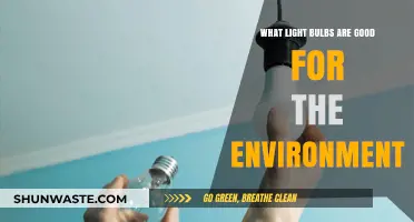 Eco-Friendly Lighting: Best Environmentally Sustainable Light Bulb Options