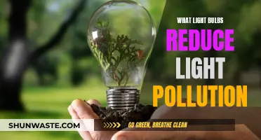 Light Pollution Solutions: Choosing the Right Light Bulbs