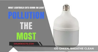 Best Lightbulbs for Reducing Light Pollution