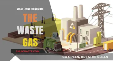How Nature Recycles: Living Things That Thrive on Waste Gas