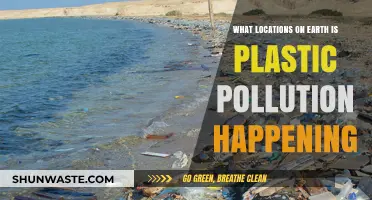 Plastic Pollution: A Global Crisis