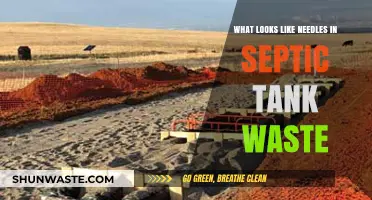 Identifying Needle-Like Objects in Septic Tank Waste: Causes and Solutions