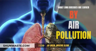 Breathing Trouble: Air Pollution's Impact on Lung Health