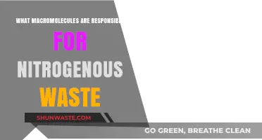 Macromolecules Behind Nitrogenous Waste: Unveiling the Key Players