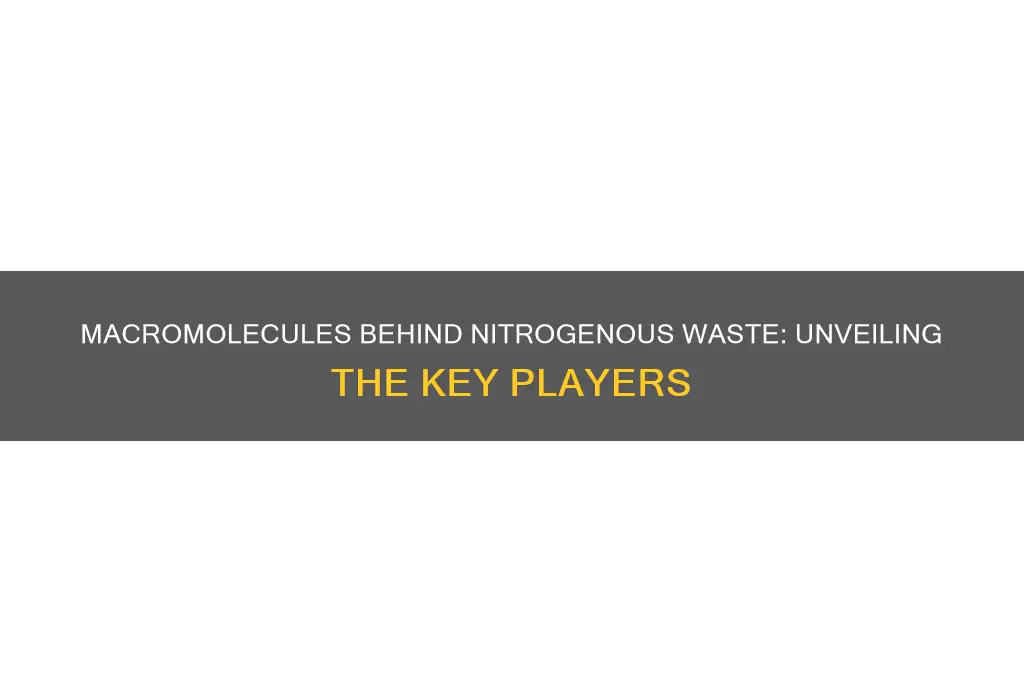 what macromolecules are responsible for nitrogenous waste