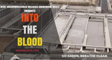 Macromolecules and Ammonium Waste: Understanding Blood Toxin Release