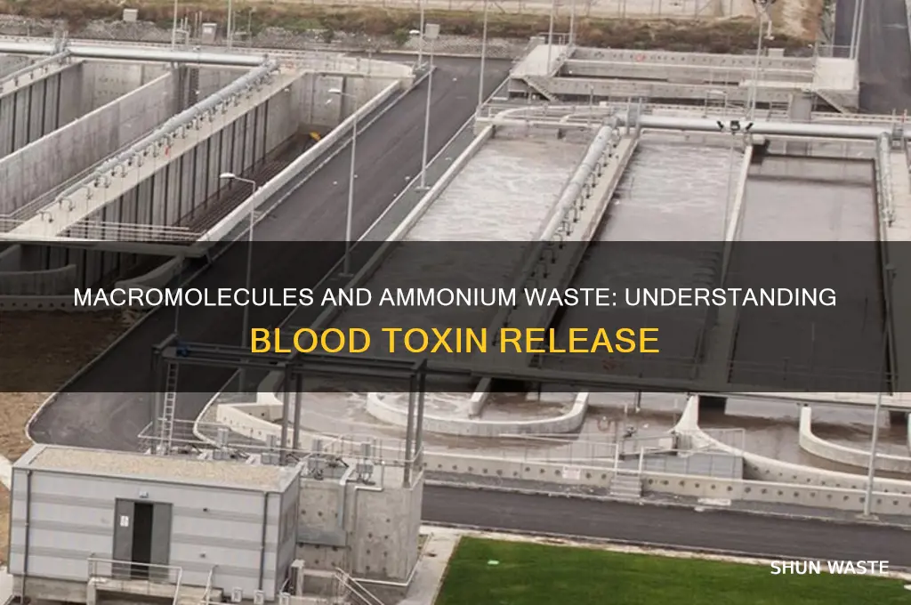 what macromolecules releases ammonium waste products into the blood