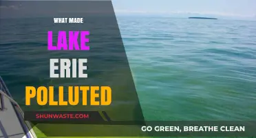 Lake Erie's Pollution: A Troubling History