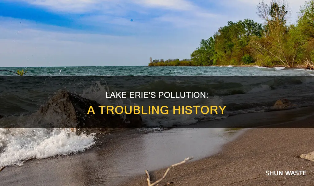 what made lake erie polluted