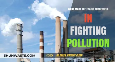 EPA's Pollution Fight: Strategies for Success
