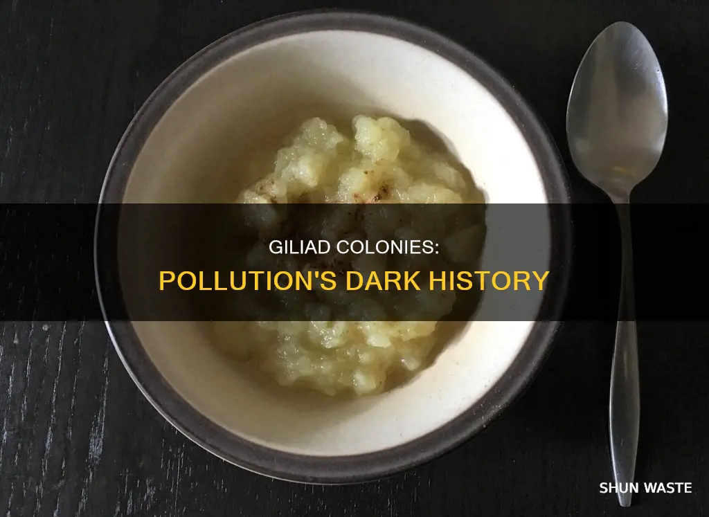 what made the giliad colonies so polluted