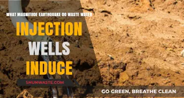 Wastewater Injection Wells: Triggering Earthquakes and Measuring Their Magnitude