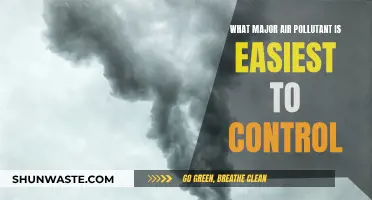 Controlling Air Pollution: The Easiest Pollutant to Curb