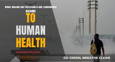 Air Pollutants: Major Hazards to Human Health