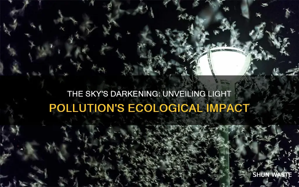 what major causes of light pollution impact the ecosystem