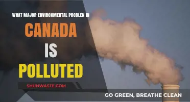 Canada's Hidden Environmental Crisis: Unveiling the Water Pollution Problem