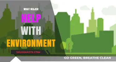 Sustainable Solutions: Major Initiatives Transforming Our Environment for a Greener Future