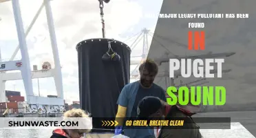 Legacy Pollutants in Puget Sound: A Troubling Find