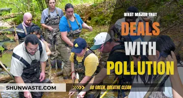Pollution Control: The Environmental Science Major