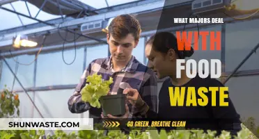 Sustainable Futures: Exploring Majors That Tackle Food Waste