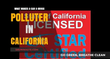 California's Strict Smog Rules: Gross Polluter Cars