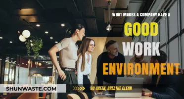 Creating a Thriving Workplace: Key Elements of a Great Work Environment